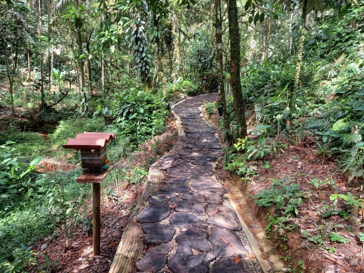 Eco Hotel Rio De Oro San Rafael  Eksteriør bilde